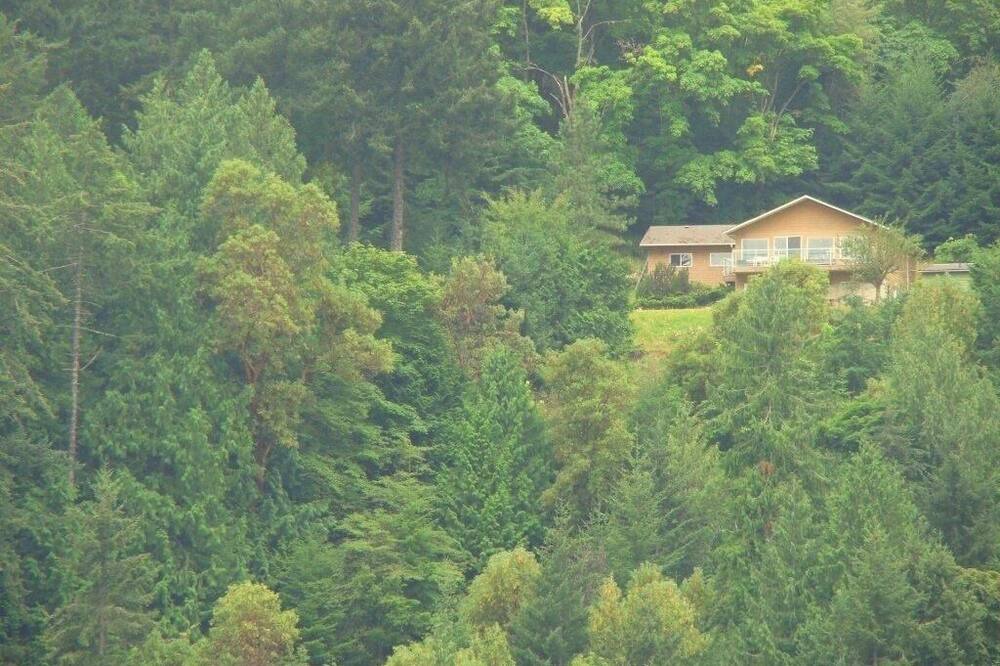 Photo of Others in Maple Bay