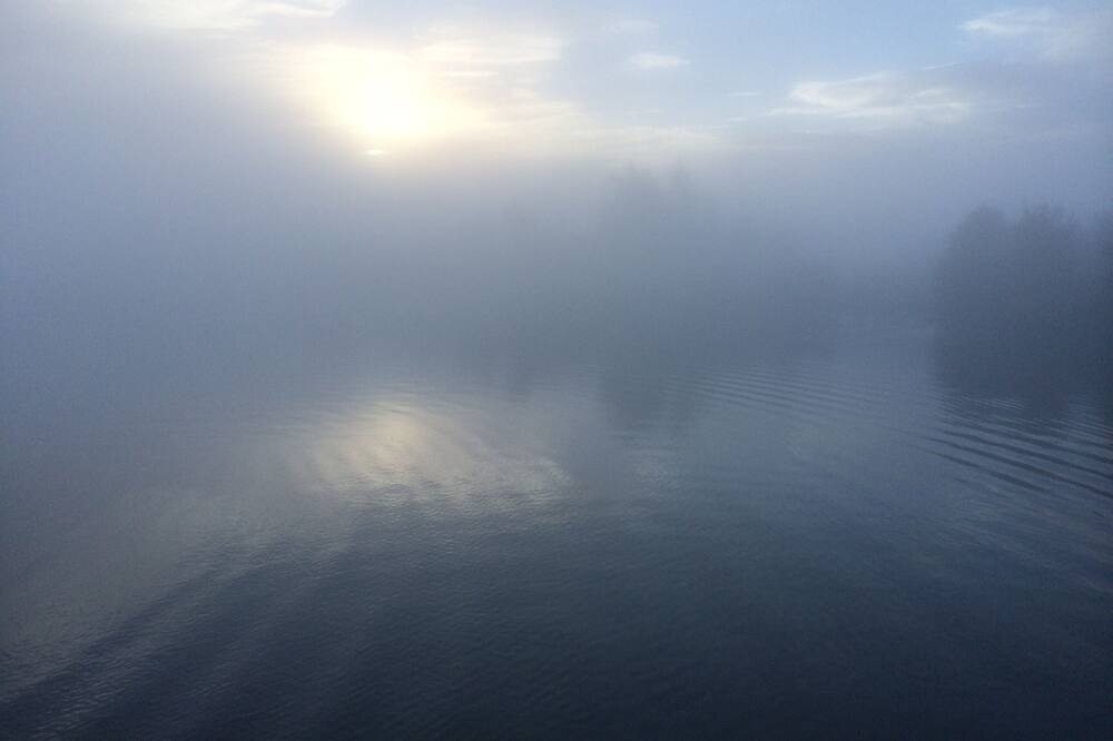 Photo of Others in Maple Bay