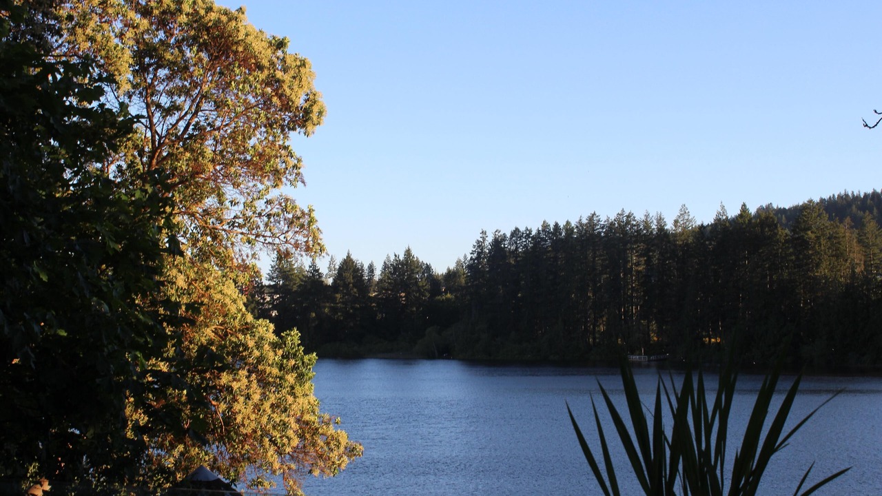 Photo of Others in Langford
