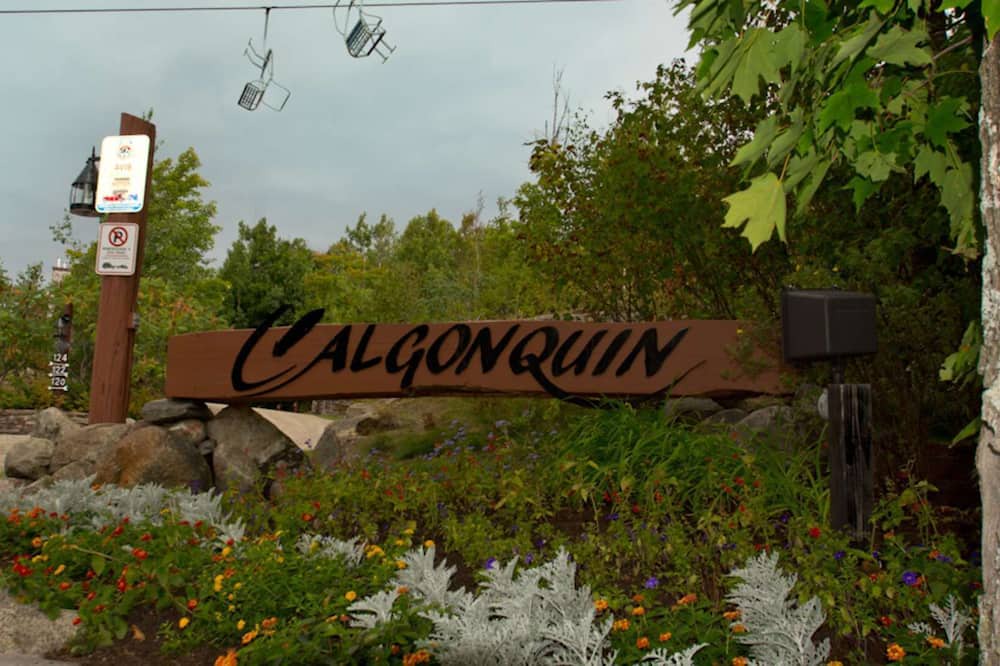 Photo of Outdoor in Mont-Tremblant