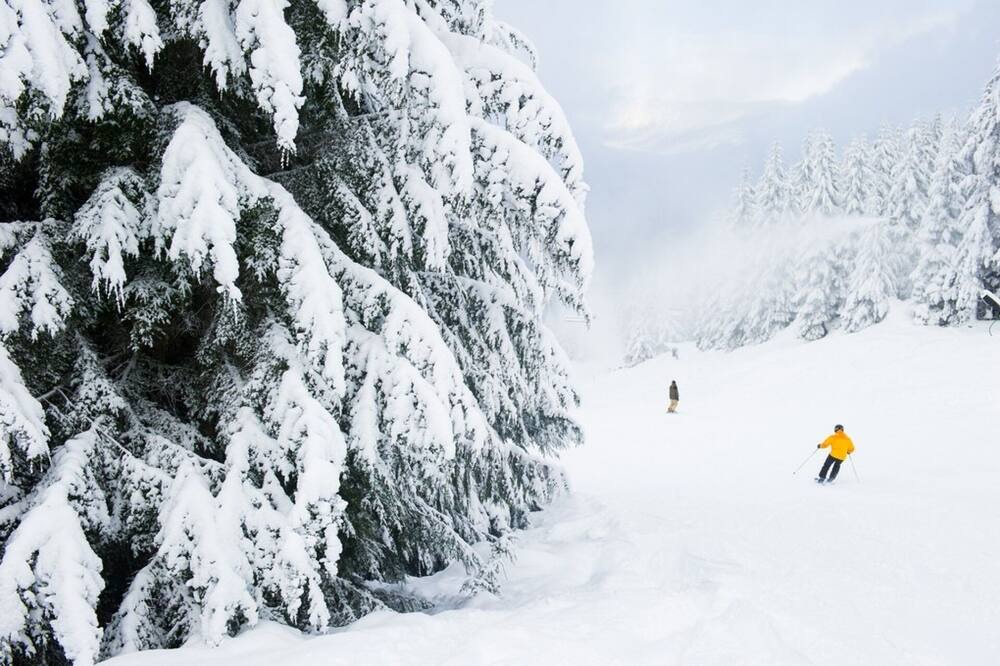 Photo of Others in Whistler Cay Heights