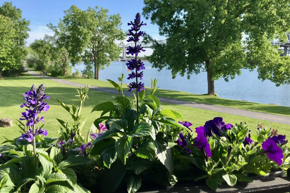 Photo of Outdoor in Brossard