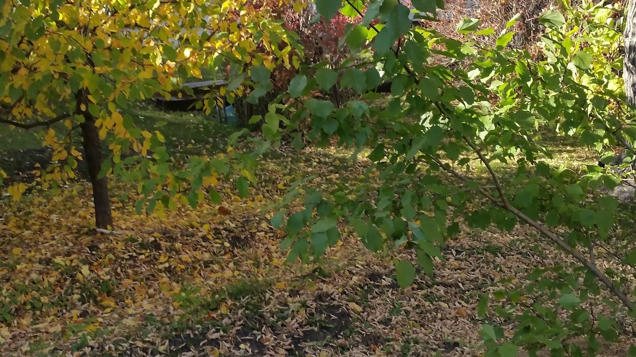 Photo of Outdoor in Neepawa