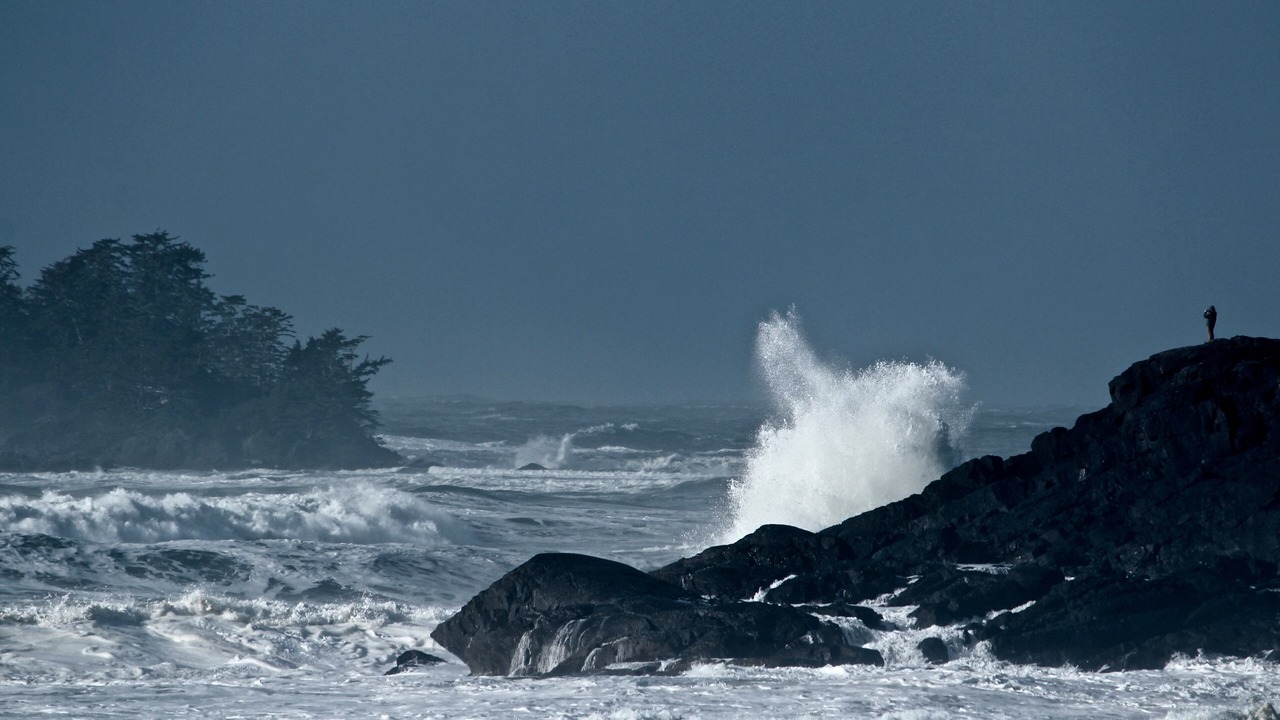 Photo of Others in Tofino