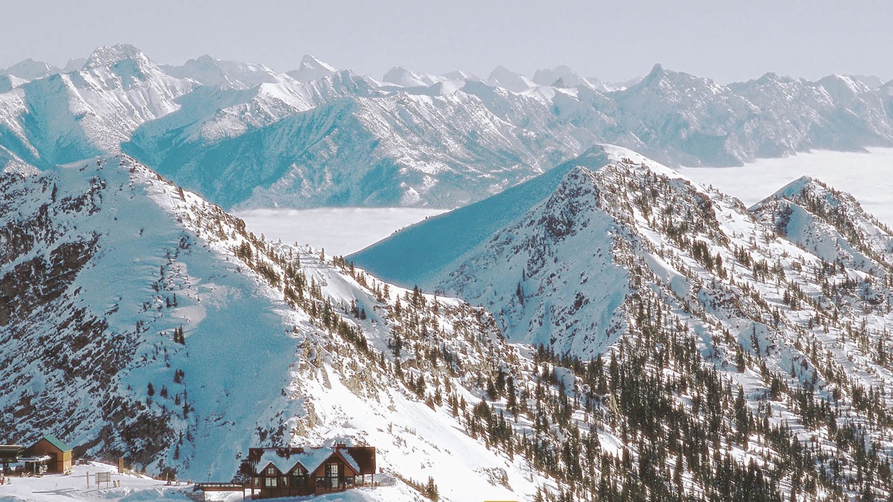 Photo of Outdoor in Golden
