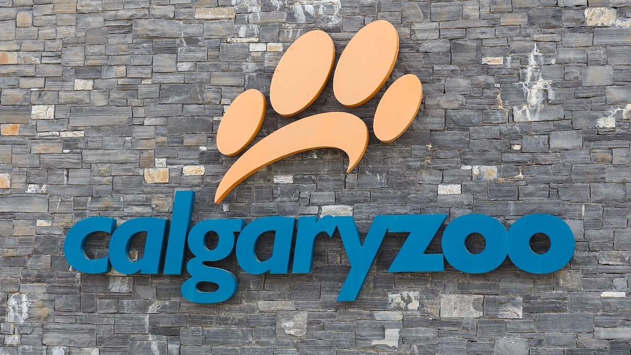 Photo of Others in Calgary