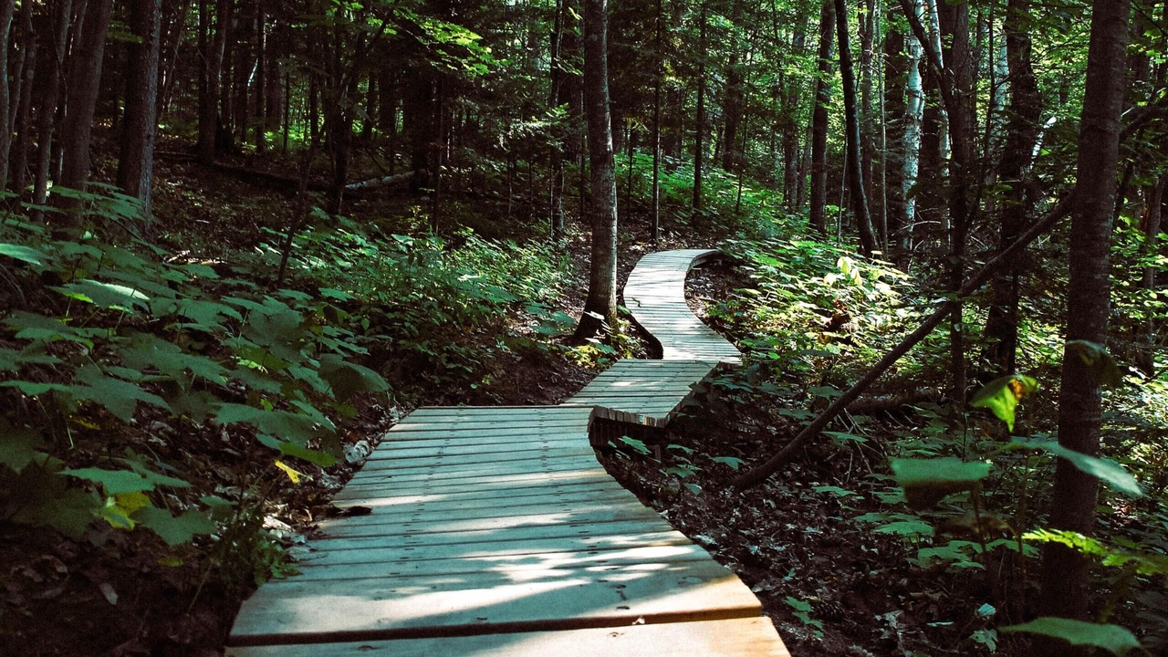 Photo of Outdoor in Bromont