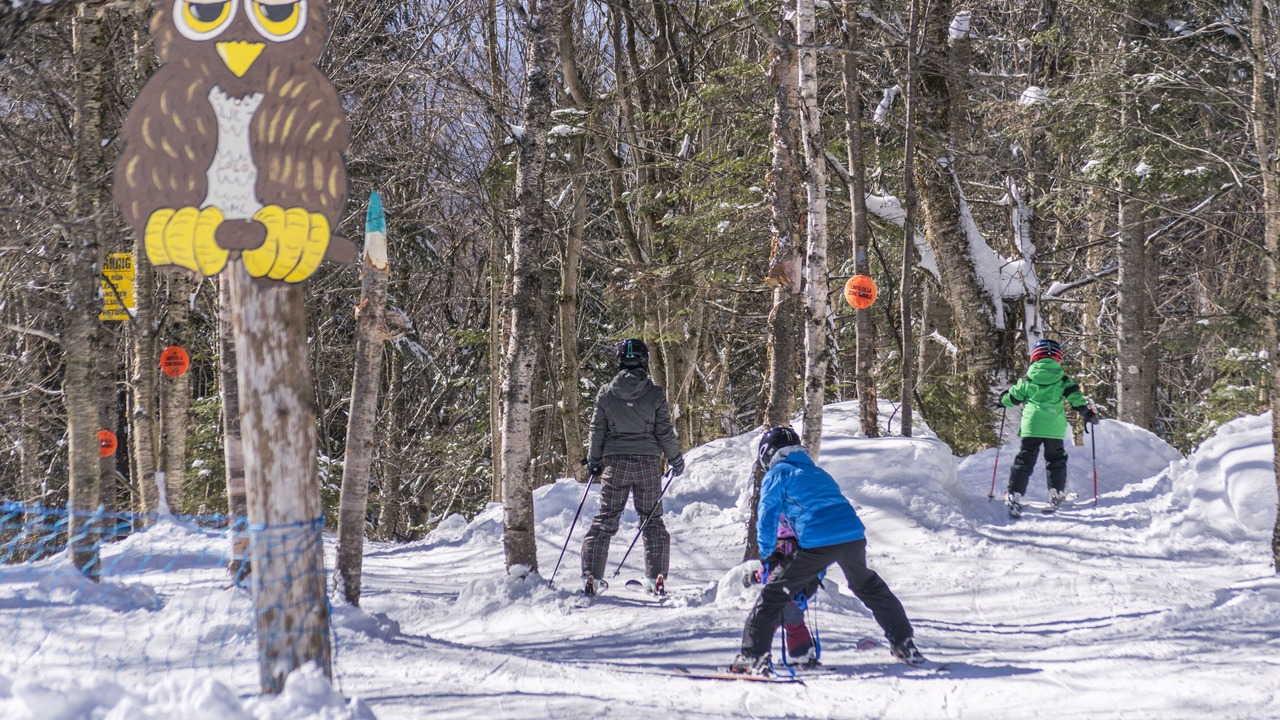 Photo of Outdoor in Stoneham