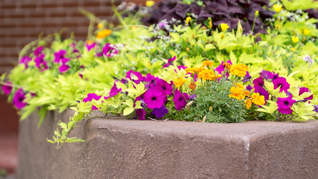 Photo of Outdoor in Grand Falls - Windsor