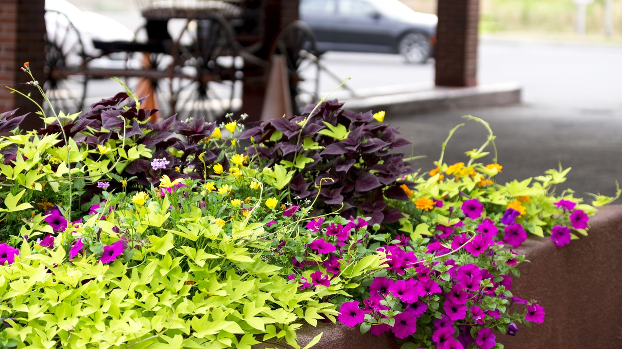 Photo of Outdoor in Grand Falls - Windsor