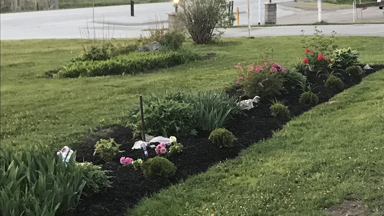 Photo of Outdoor in Wiarton