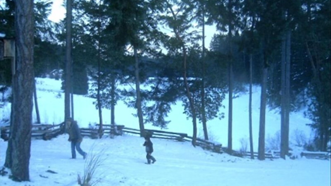 Photo of Others in Salt Spring Island
