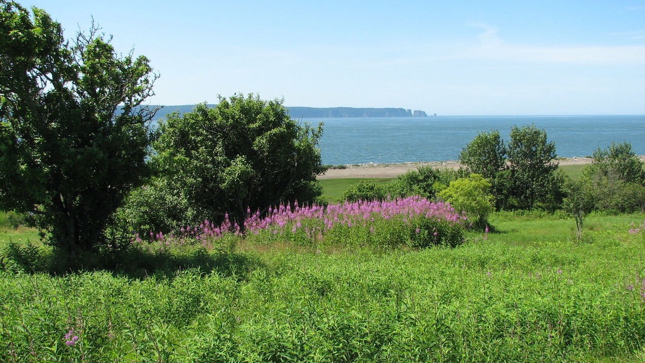 Photo of Outdoor in Parrsboro