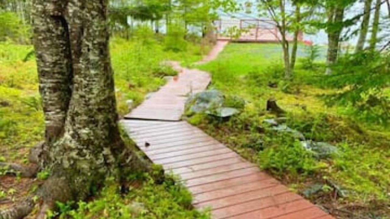 Photo of Outdoor in Brigus Junction