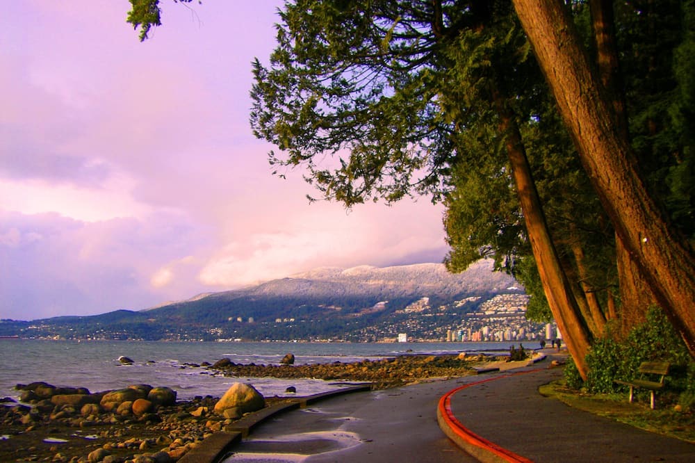 Photo of Others in Coal Harbour