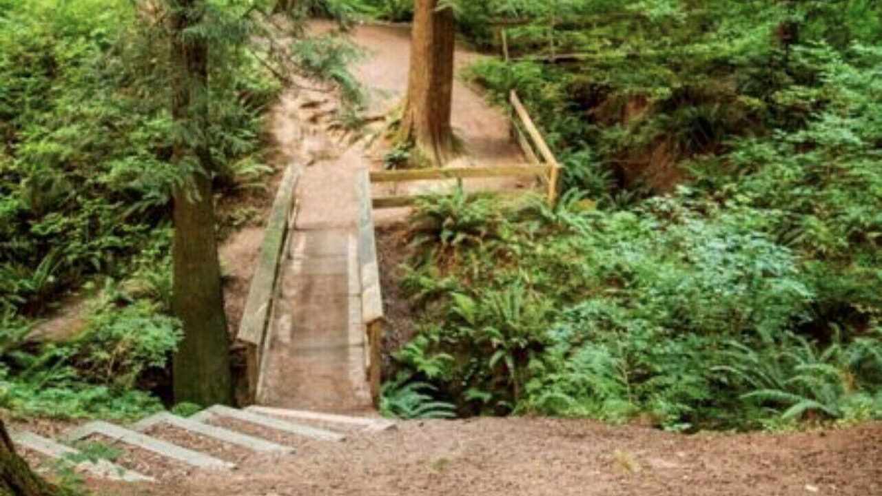 Photo of Outdoor in Maple Ridge