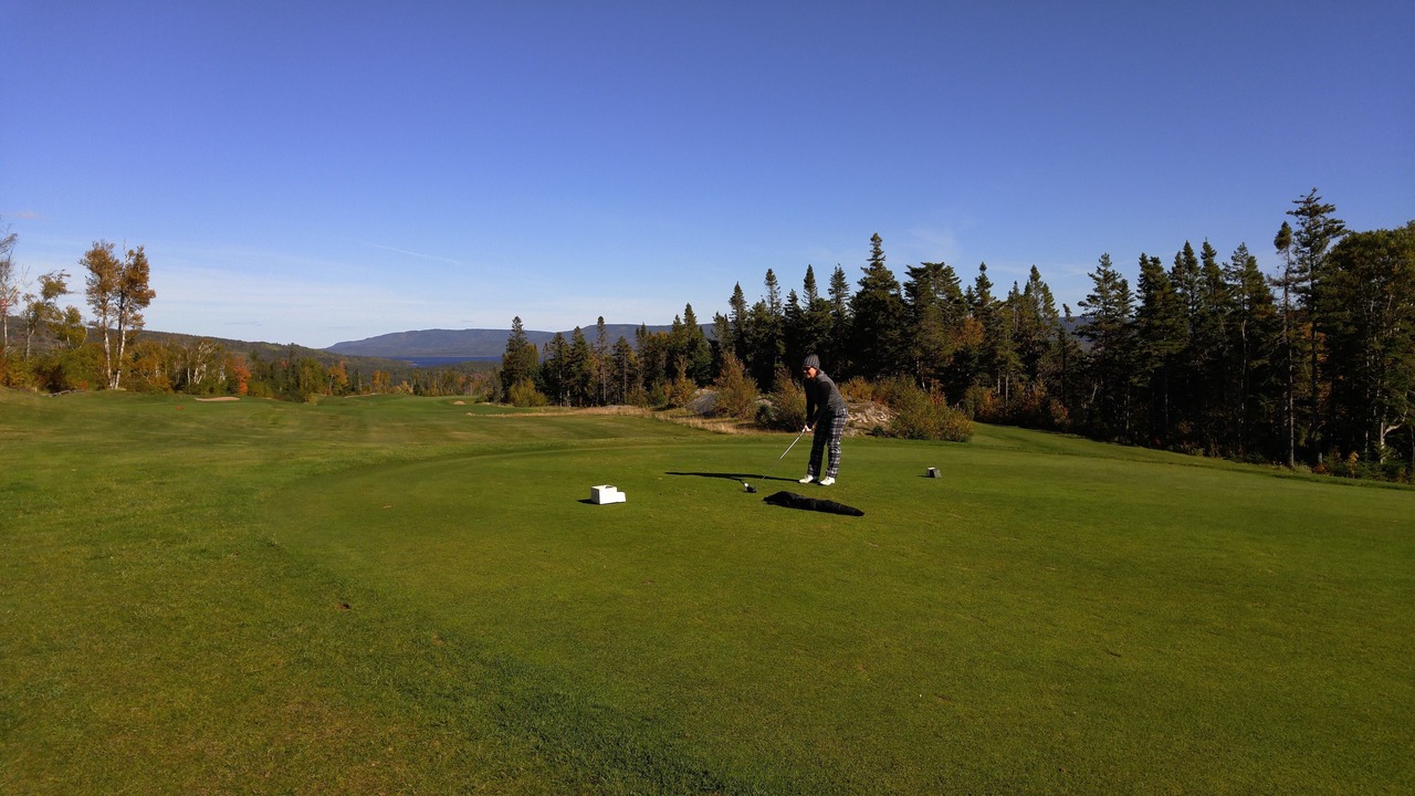 Photo of Others in Humber Valley