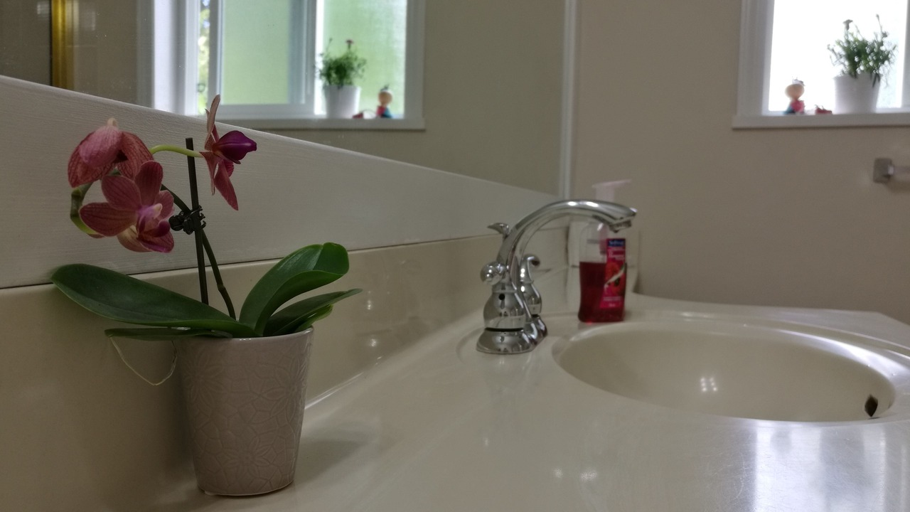Photo of Bathroom in Steveston