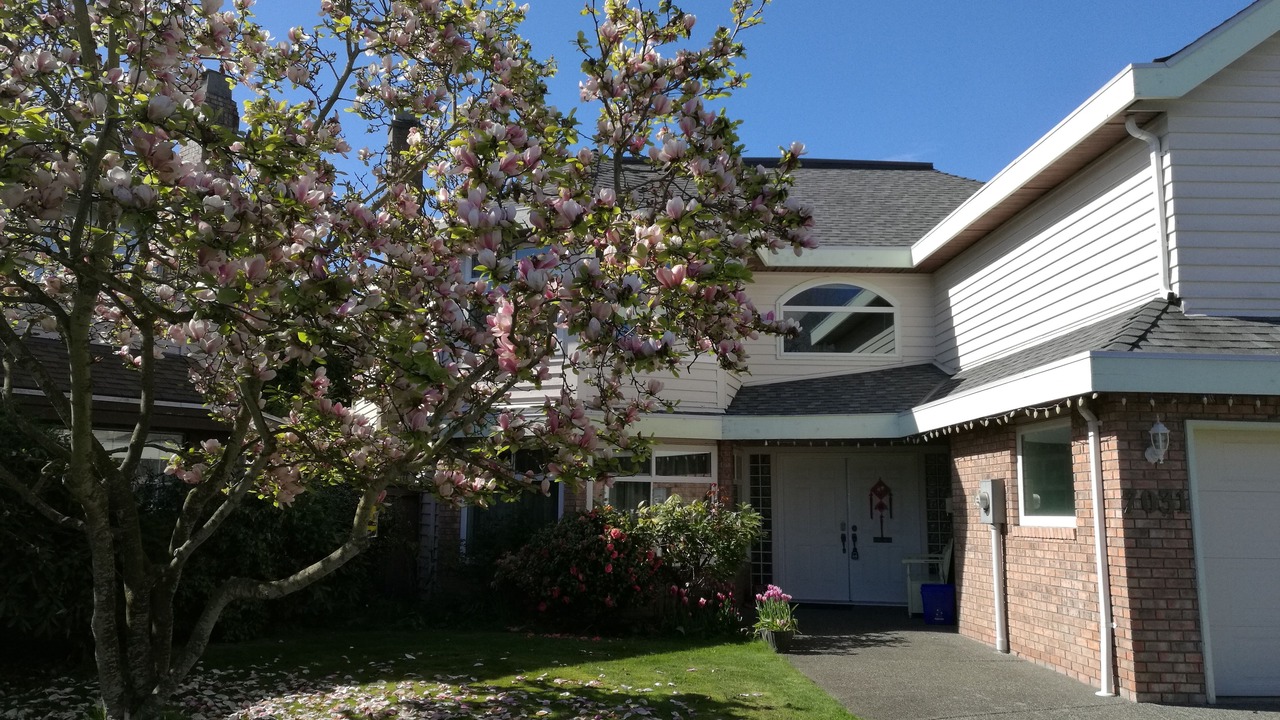 Photo of Outdoor in Steveston