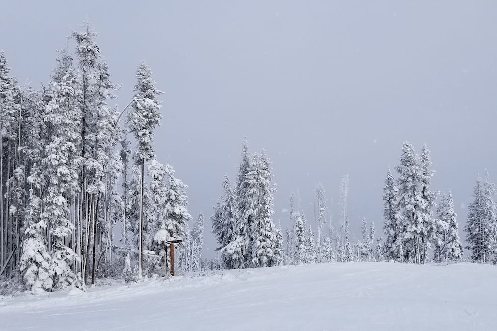 Photo of Others in East Kootenay