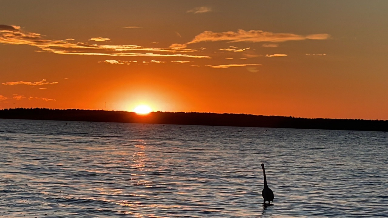 Photo of Others in Pointe-du-Chene