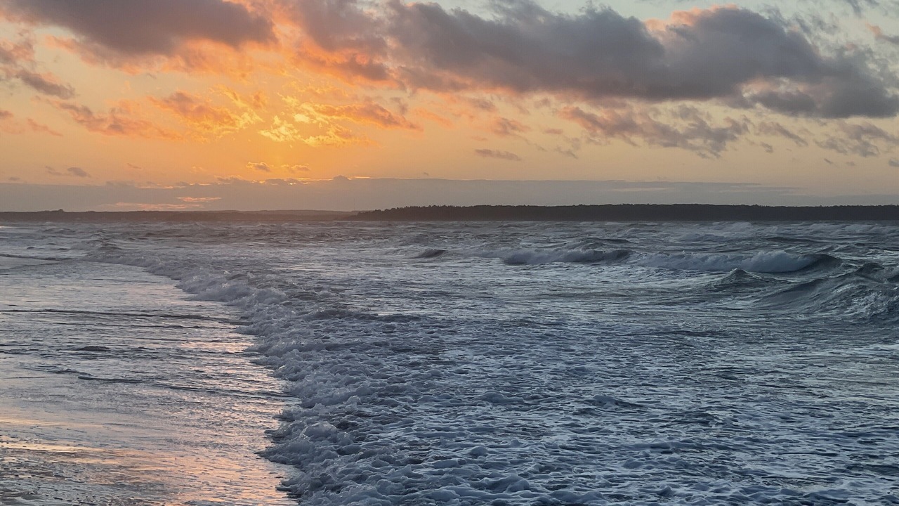 Photo of Others in Pointe-du-Chene