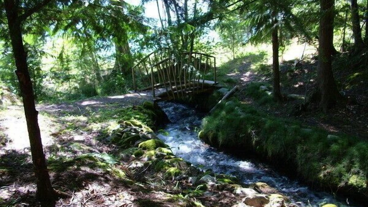 Photo of Outdoor in Kaslo