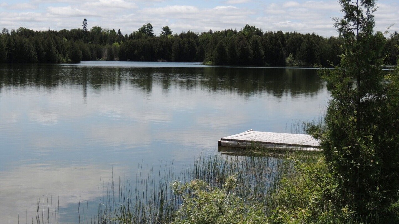 Photo of Outdoor in Grey Highlands
