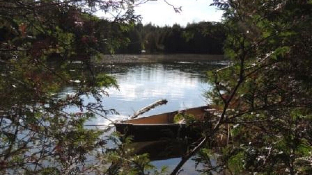 Photo of Outdoor in Grey Highlands