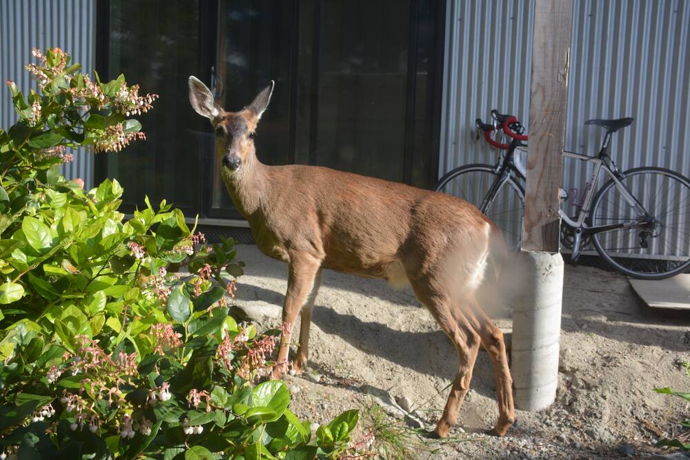 Photo of Others in Gibsons