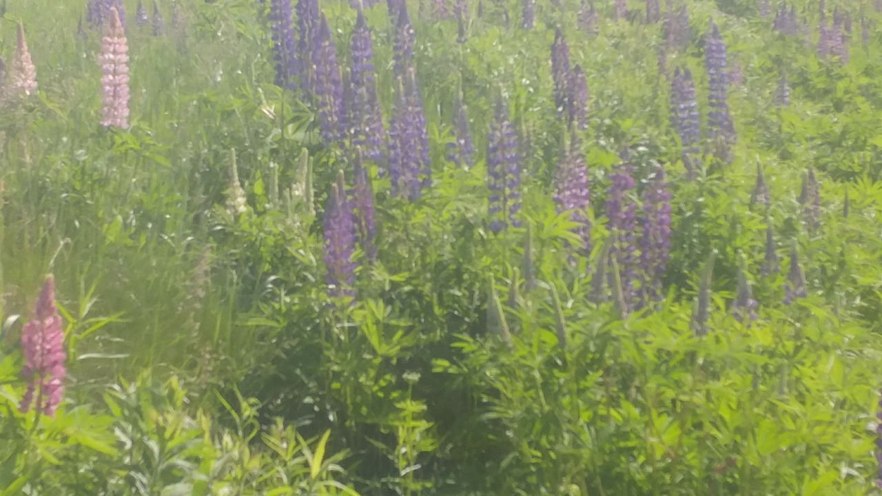 Photo of Outdoor in Stratford