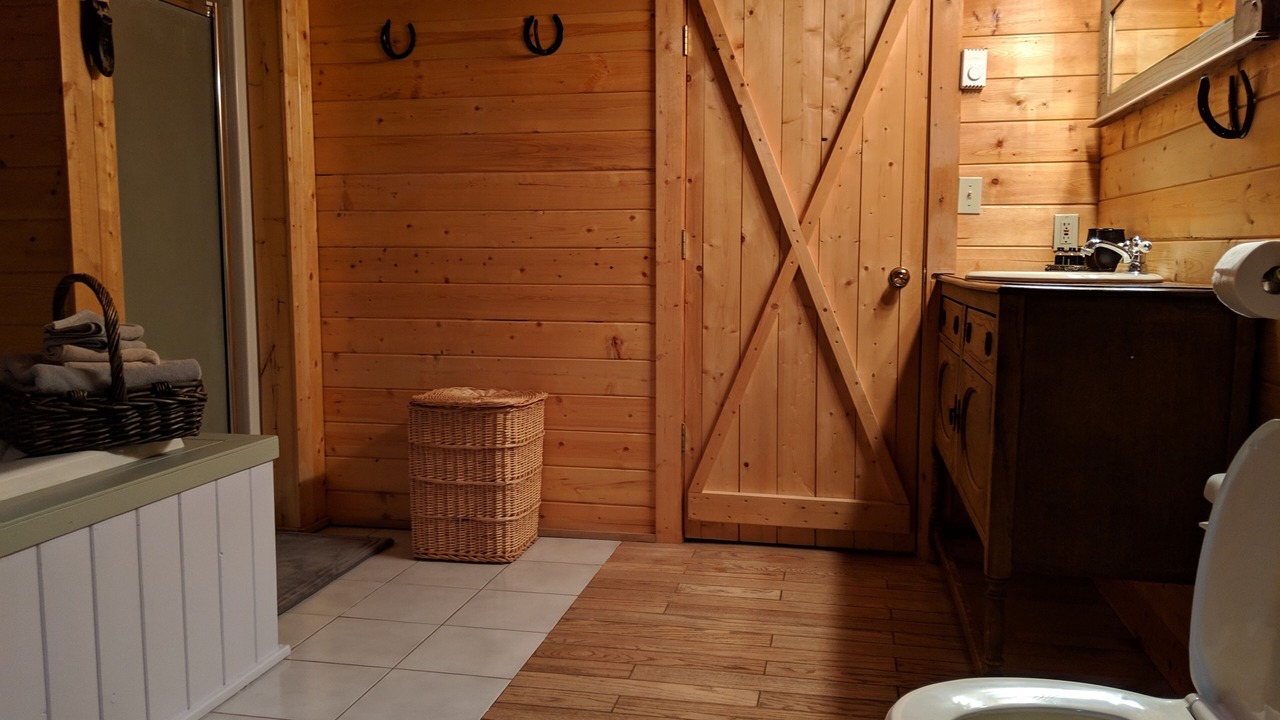 Photo of Bathroom in Clinton