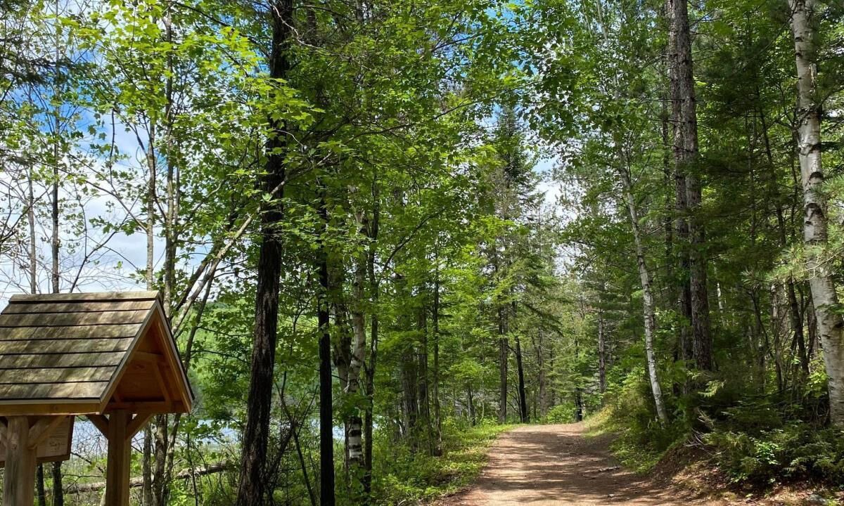 Photo of Outdoor in Lac-Superieur