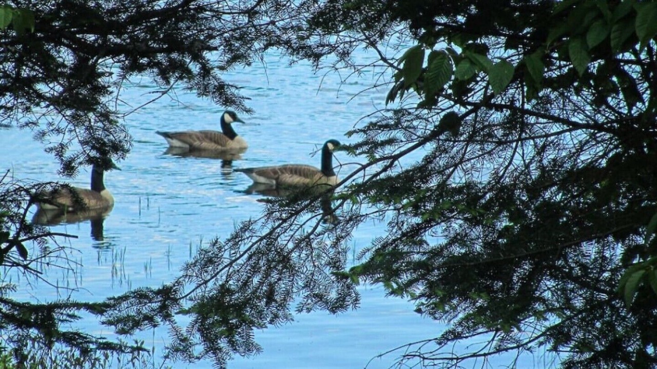 Photo of Others in Saint Donat