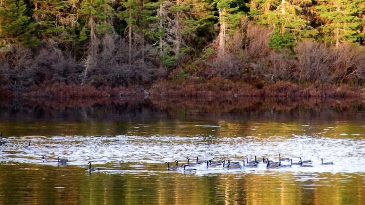 Photo of Outdoor in Saint Donat