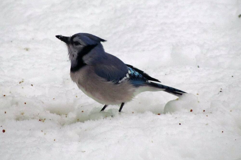 Photo of Others in Boylston
