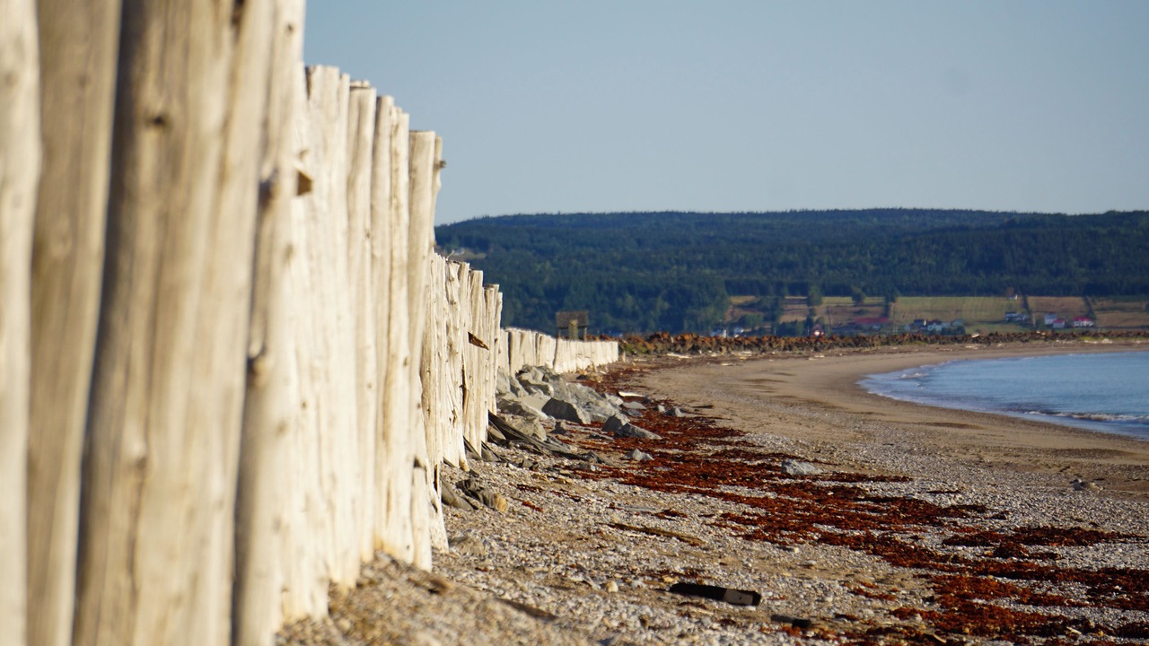 Photo of Others in Perce