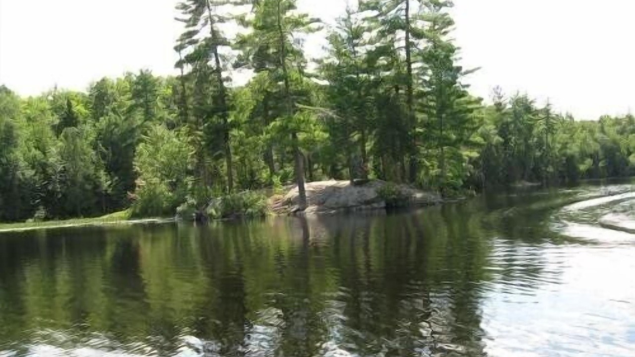 Photo of Outdoor in Port Loring
