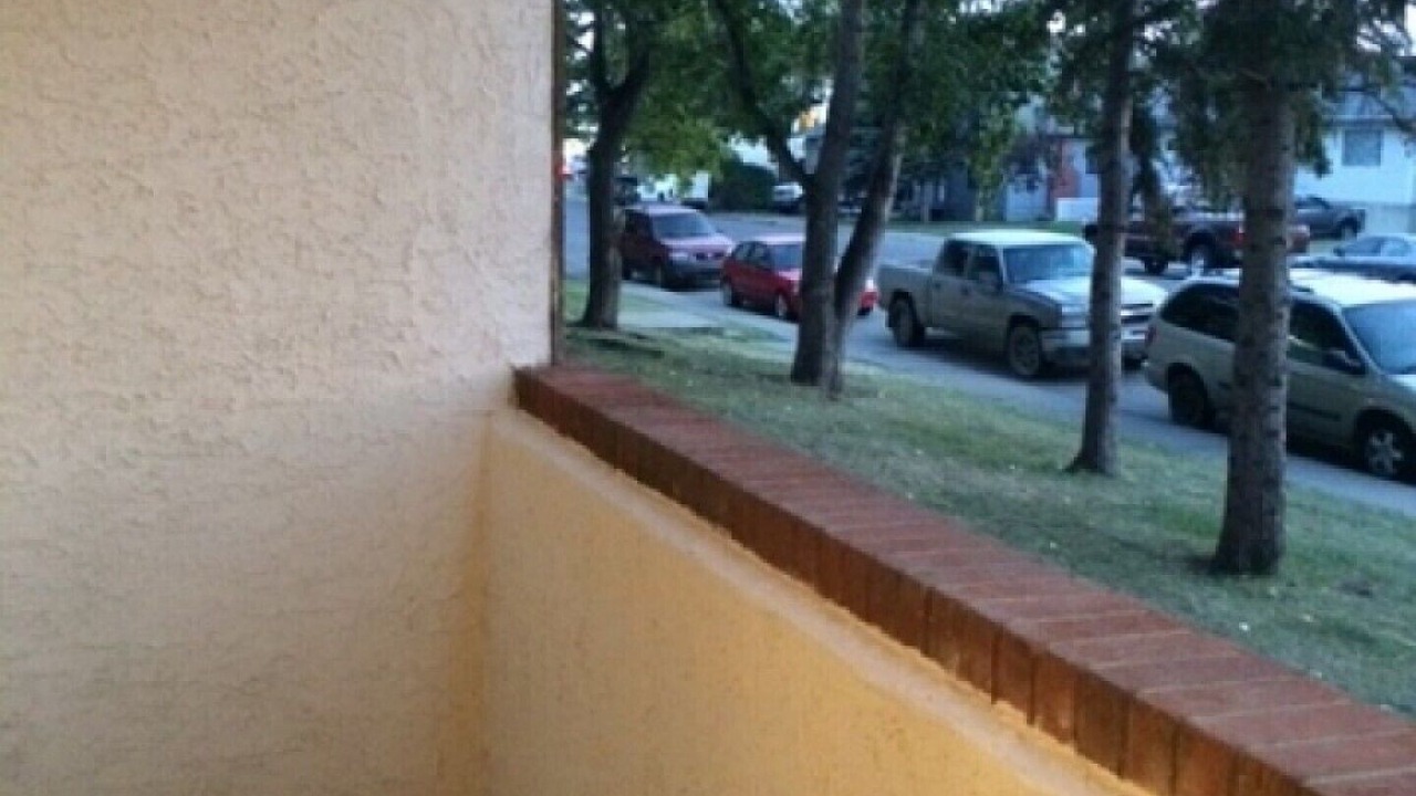 Photo of Outdoor in Forest Lawn