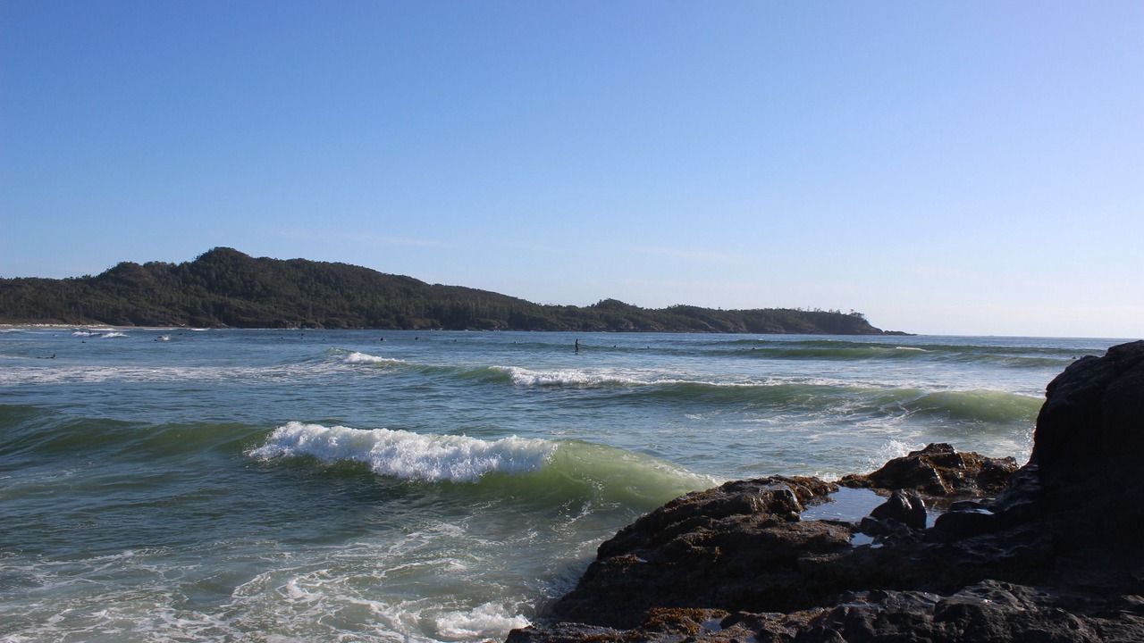 Photo of Others in Tofino