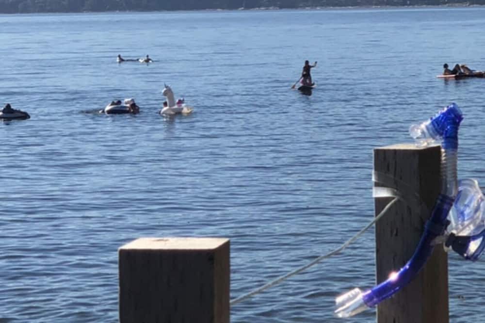 Photo of Others in Davis Bay
