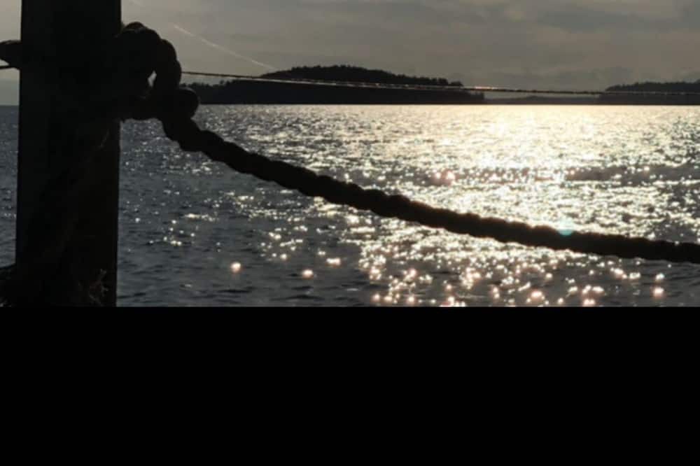 Photo of Others in Davis Bay