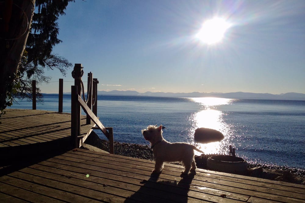 Photo of Others in Davis Bay