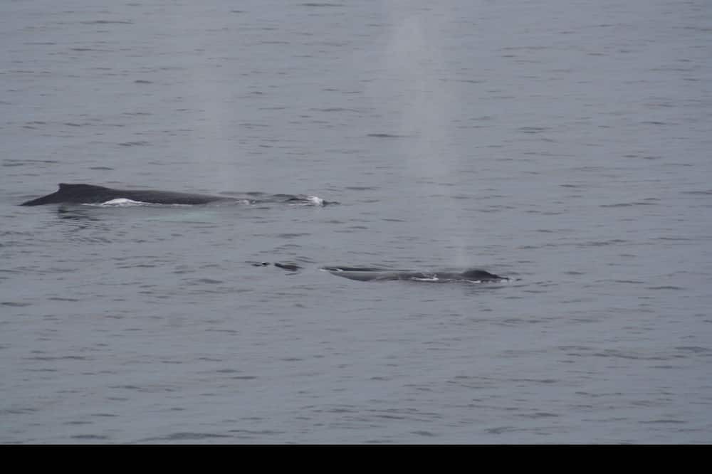 Photo of Others in Davis Bay