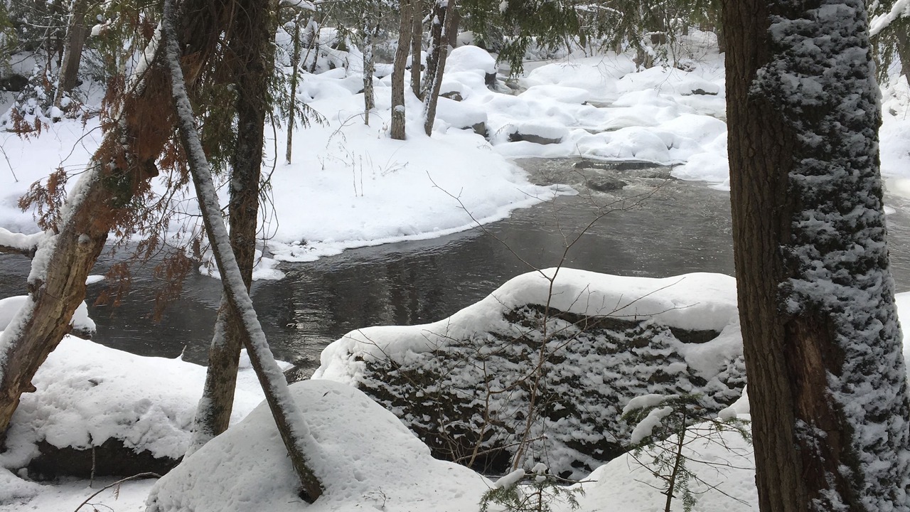 Photo of Others in Magog