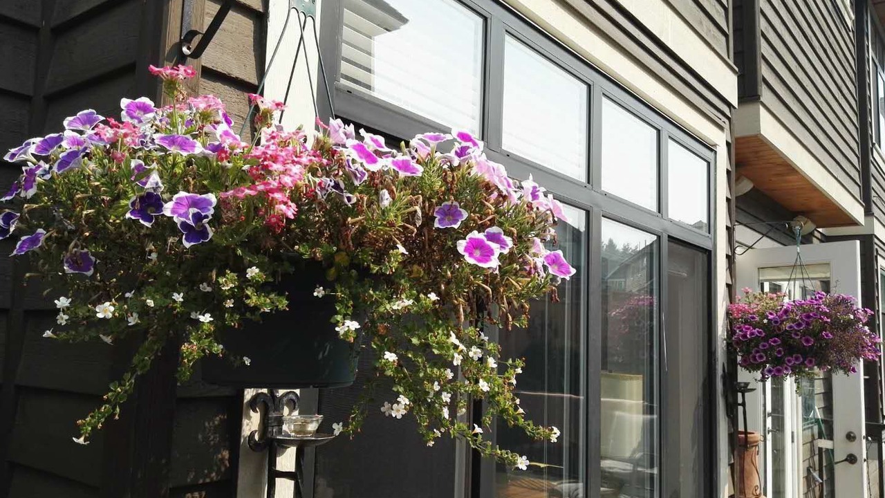 Photo of Outdoor in Surrey