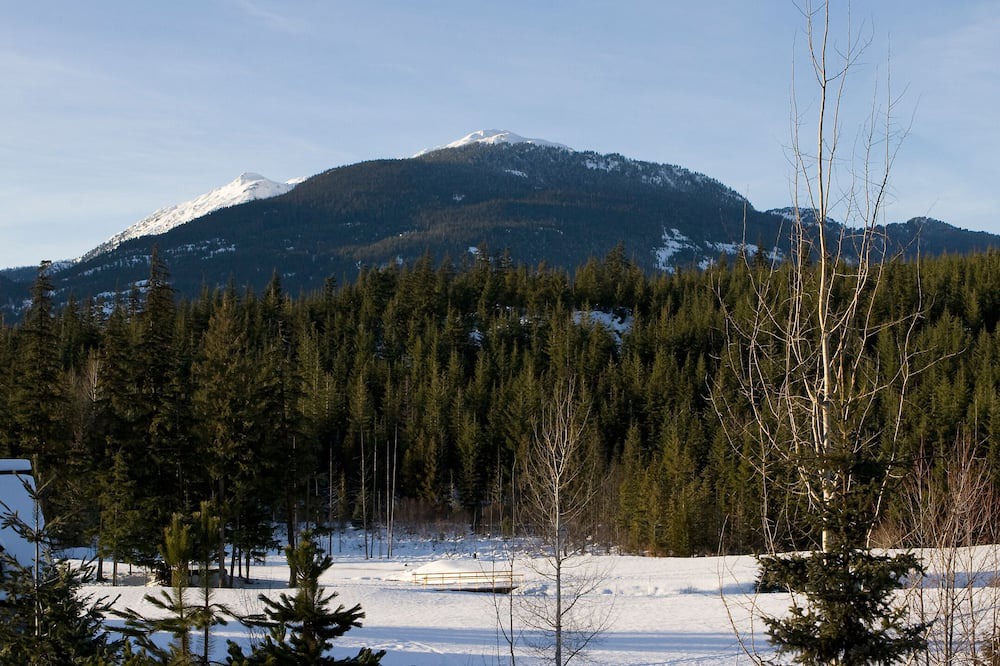 Photo of Others in Blackcomb
