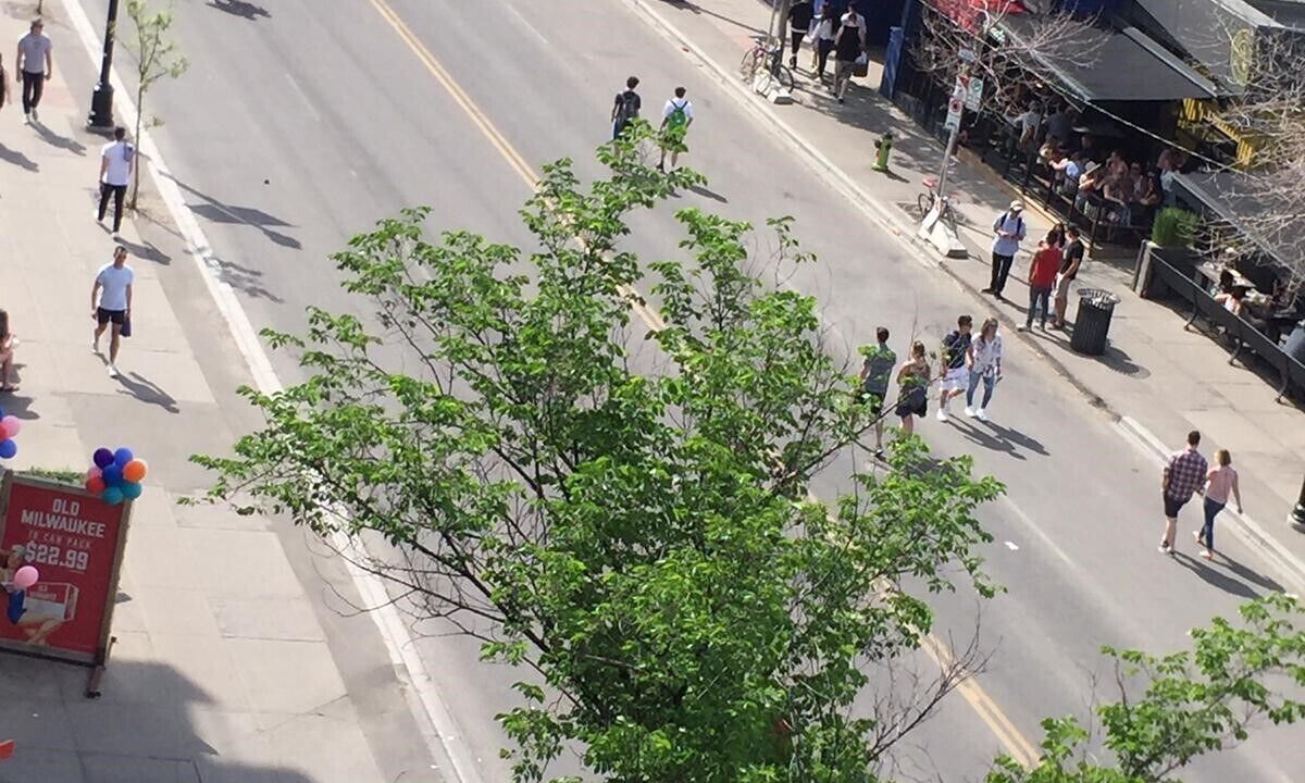 Photo of Outdoor in Southwest Calgary