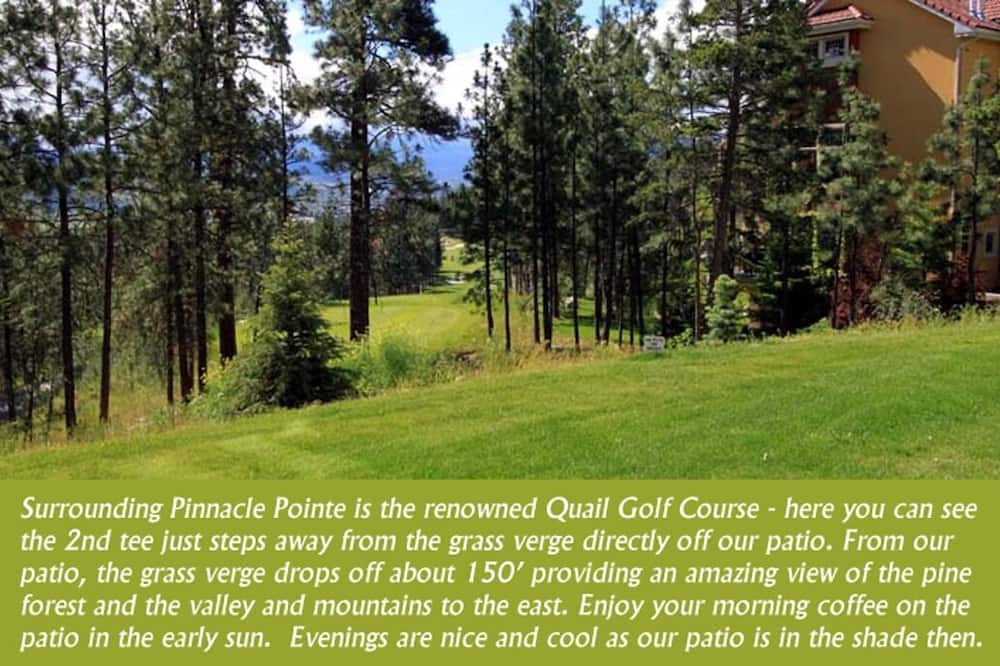 Photo of Outdoor in Quail Ridge
