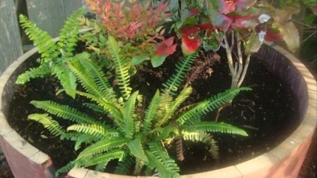 Photo of Outdoor in Salt Spring Island